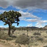 Review photo of Palm Springs-Joshua Tree KOA by Gina P., April 2, 2024