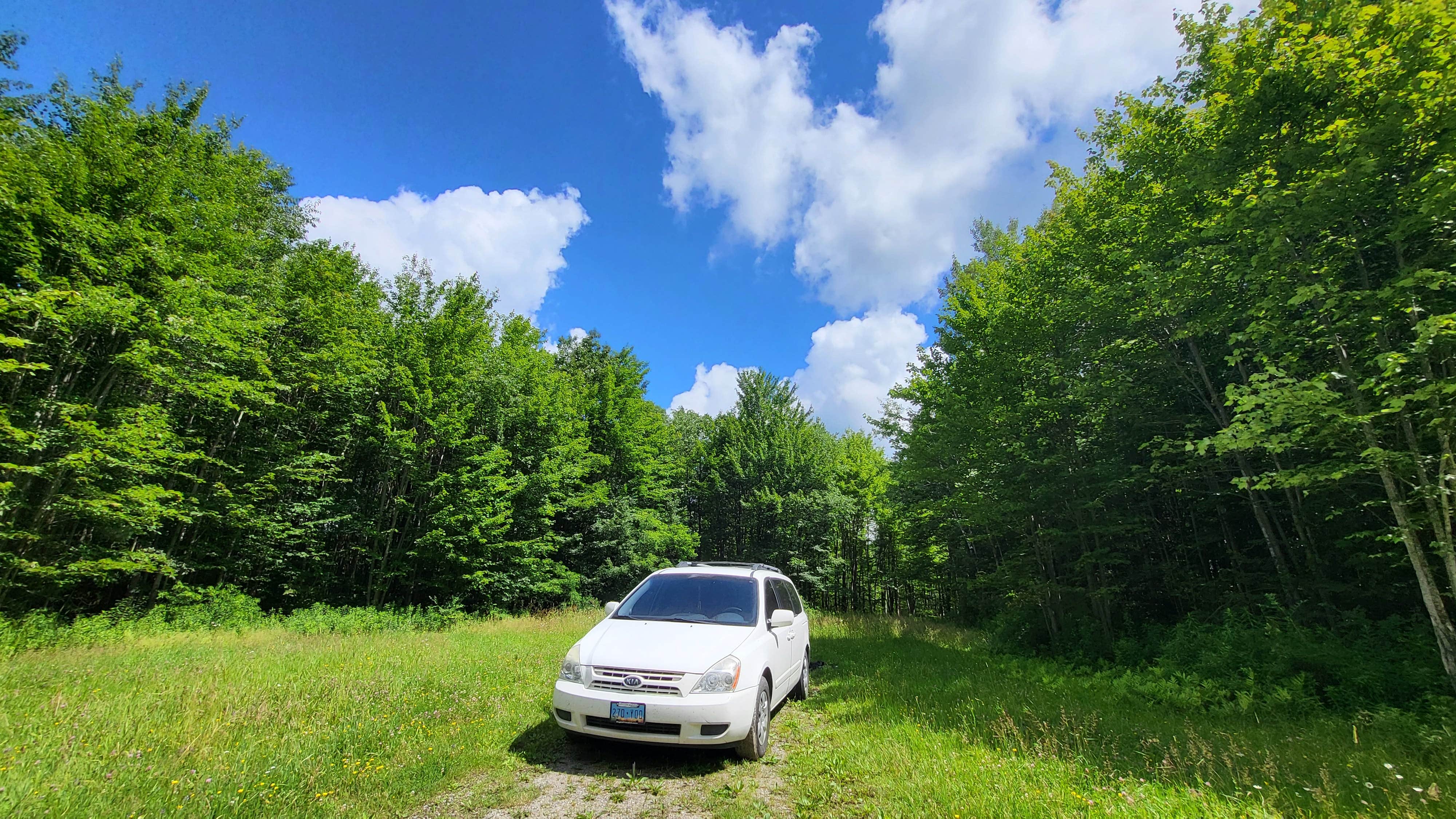 Camper-submitted photo at Palmers Pond State Forest near Nunda, NY