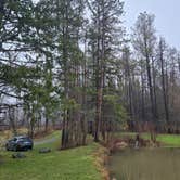 Review photo of Palmers Pond State Forest by Ashlee C., April 6, 2026