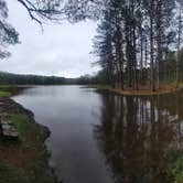 Review photo of Palmers Pond State Forest by Marjoe M., May 5, 2024