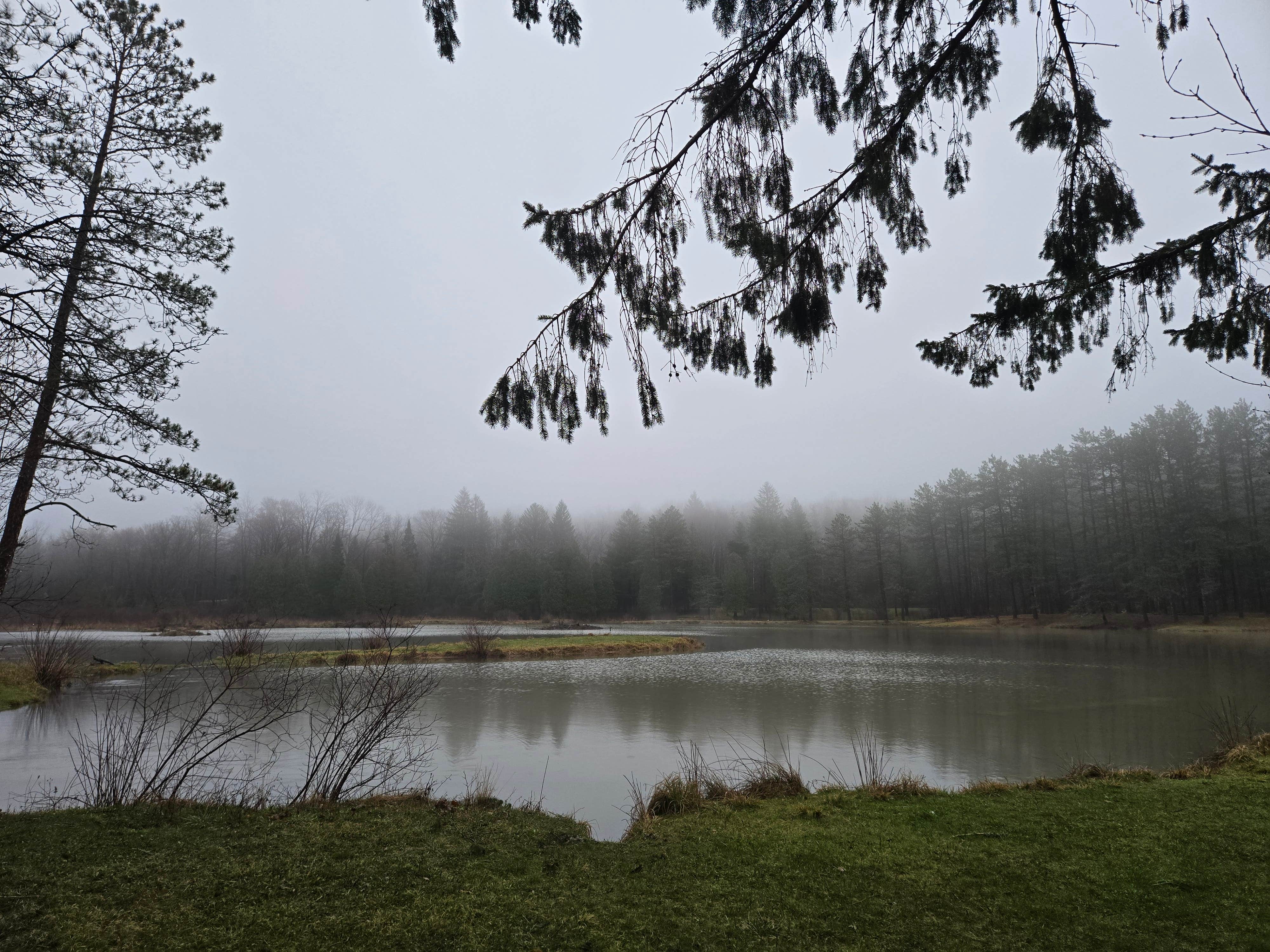Camper-submitted photo at Palmers Pond State Forest near Hunt, NY