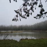 Review photo of Palmers Pond State Forest by Ashlee C., April 6, 2026