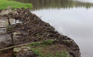 Marjoe M.'s photo of a dispersed camping area at Palmers Pond State Forest near Wyoming, NY