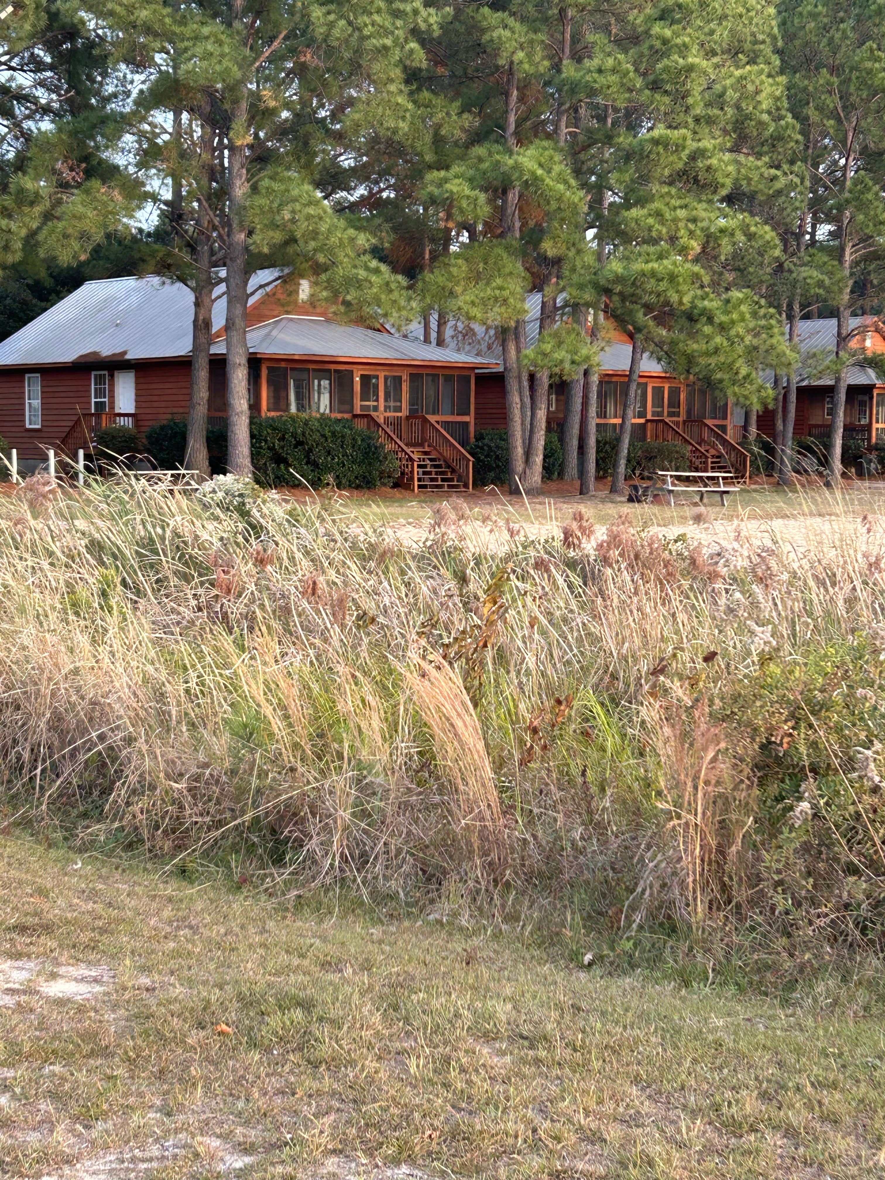 Camper-submitted photo at Palmetto Shores RV Resort near Elgin, SC