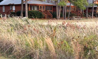 Douglas T.'s photo of a cabin at Palmetto Shores RV Resort near Canadys, SC