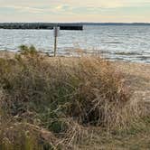Review photo of Palmetto Shores RV Resort by Douglas T., December 6, 2024