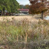 Review photo of Palmetto Shores RV Resort by Douglas T., December 6, 2024