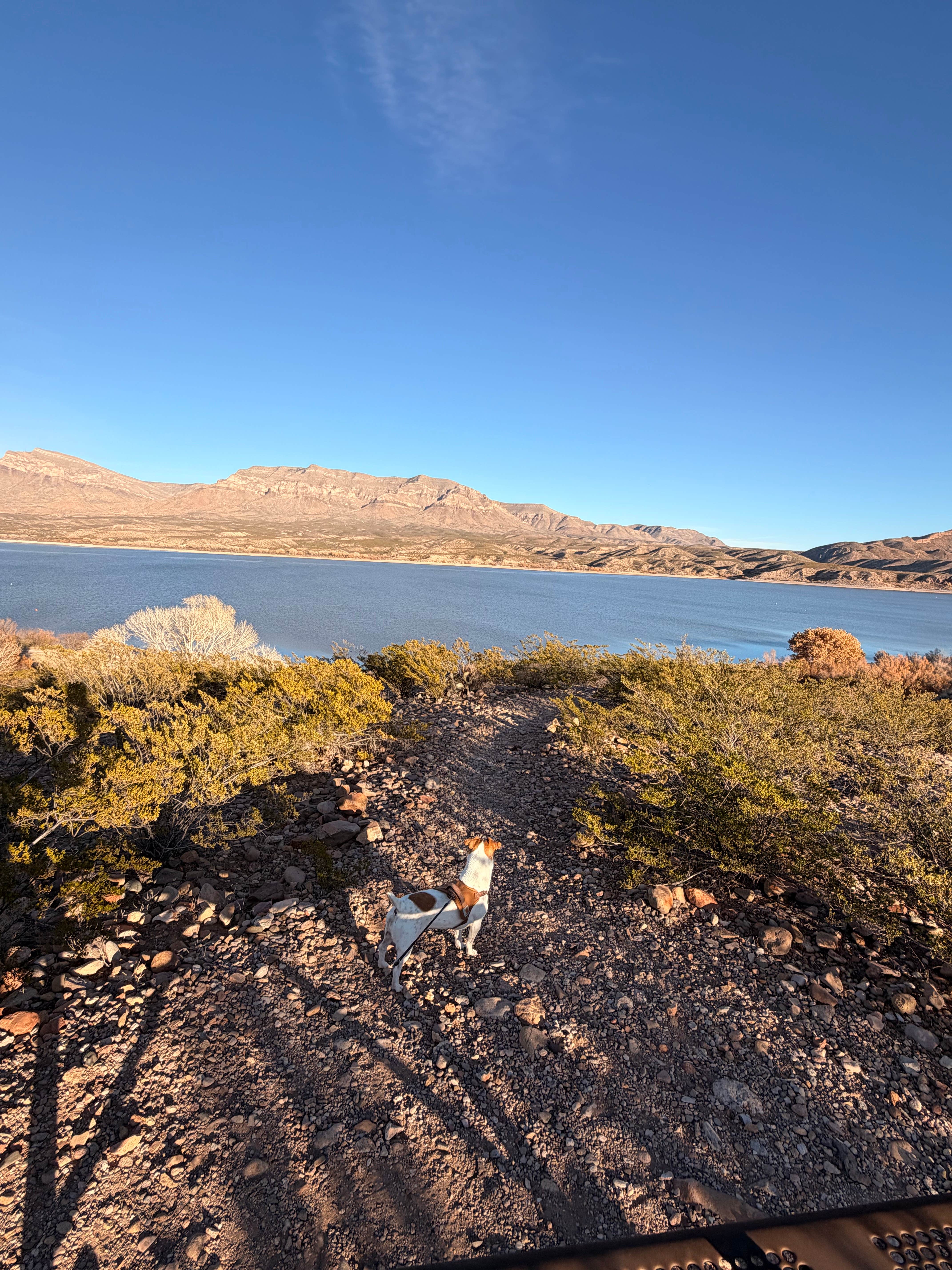 Camper-submitted photo at Palomino Campground — Caballo Lake State Park near Hatch, NM