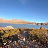 Review photo of Palomino Campground — Caballo Lake State Park by Nikki G., December 29, 2025