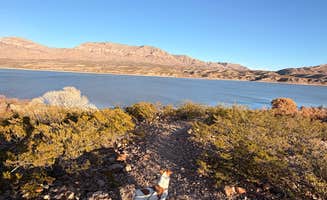 Nikki G.'s photo of camping with pets at Palomino Campground — Caballo Lake State Park near Elephant Butte, NM