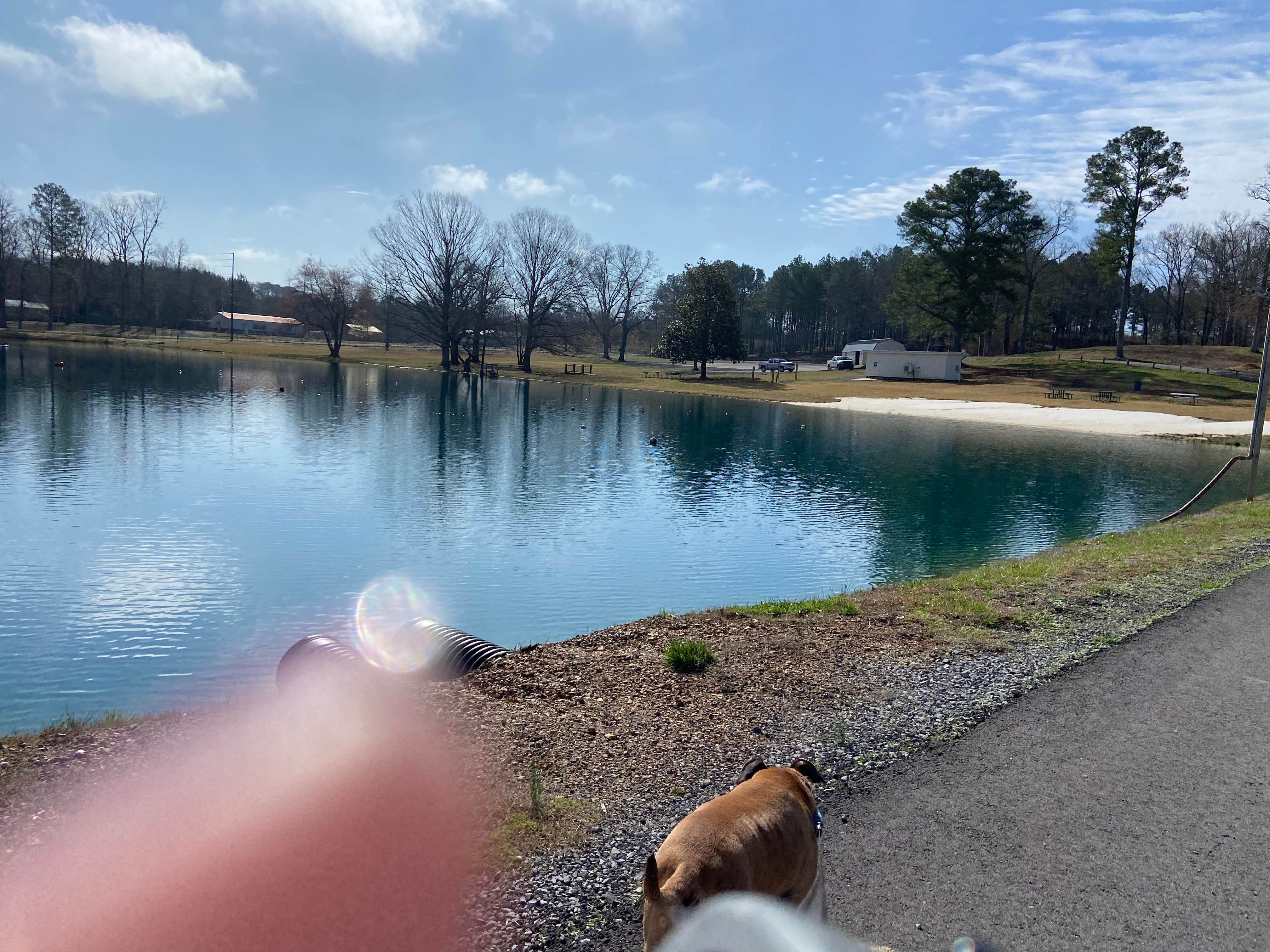 Crystal H.'s photo of camping with pets at Palomino RV Resort near Gurley, AL