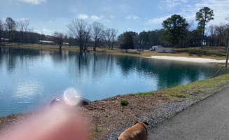 Crystal H.'s photo of camping with pets at Palomino RV Resort near Natural Bridge, AL