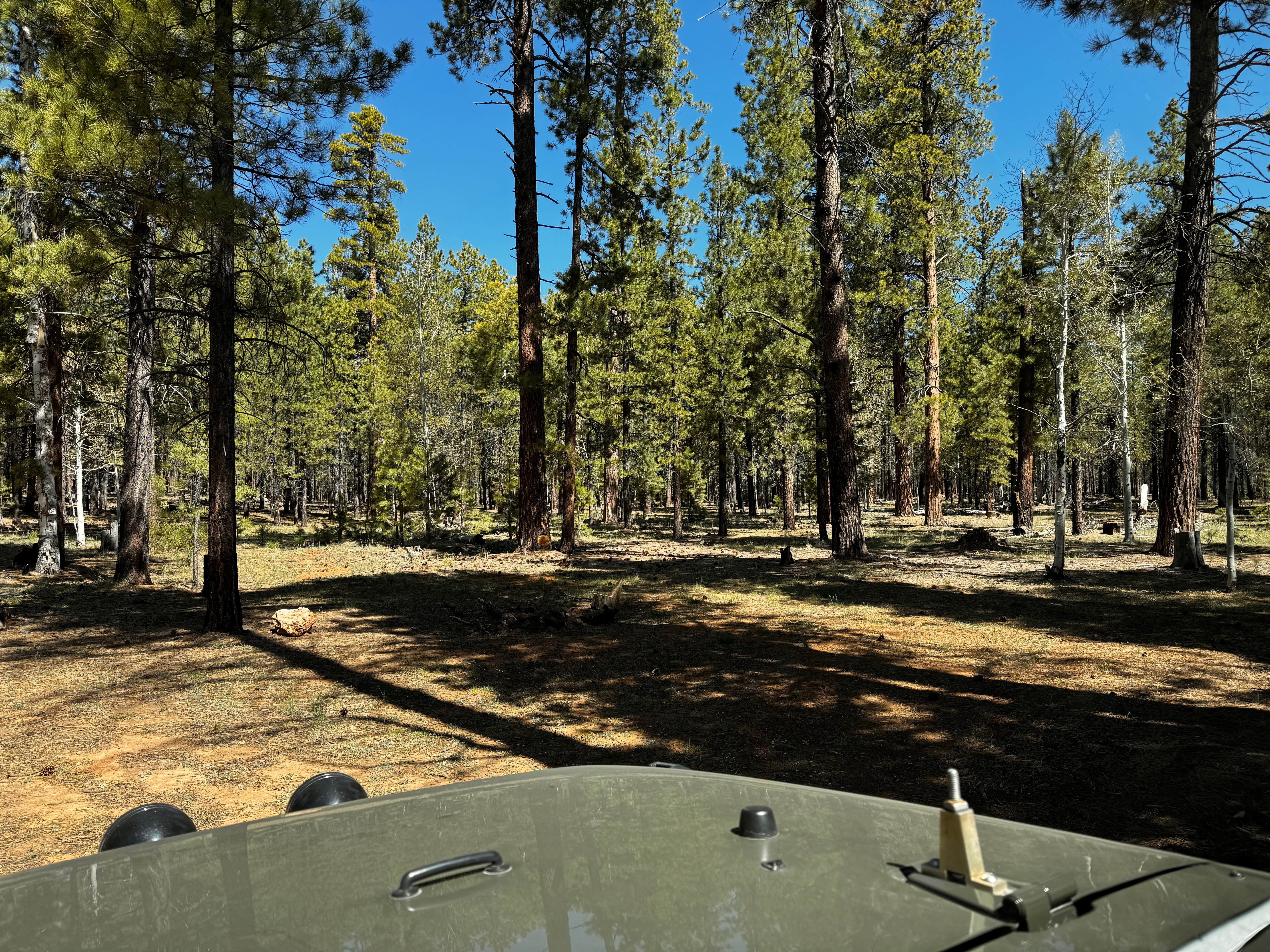 Camper-submitted photo at Panguitch Lake Resort near Parowan, UT