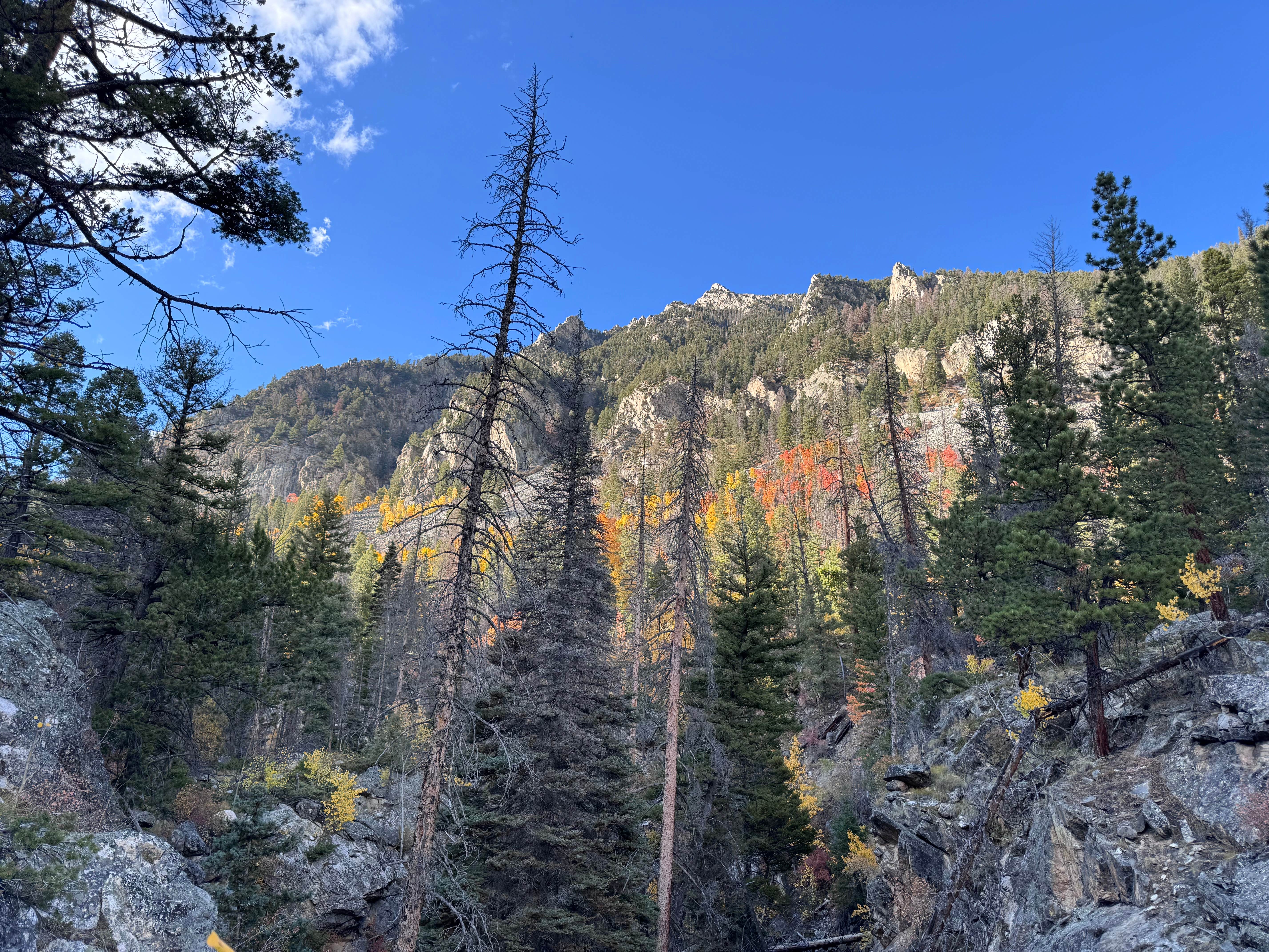 Camping near 228A Dispersed Campsite: Panocha Spring, Monarch, Colorado
