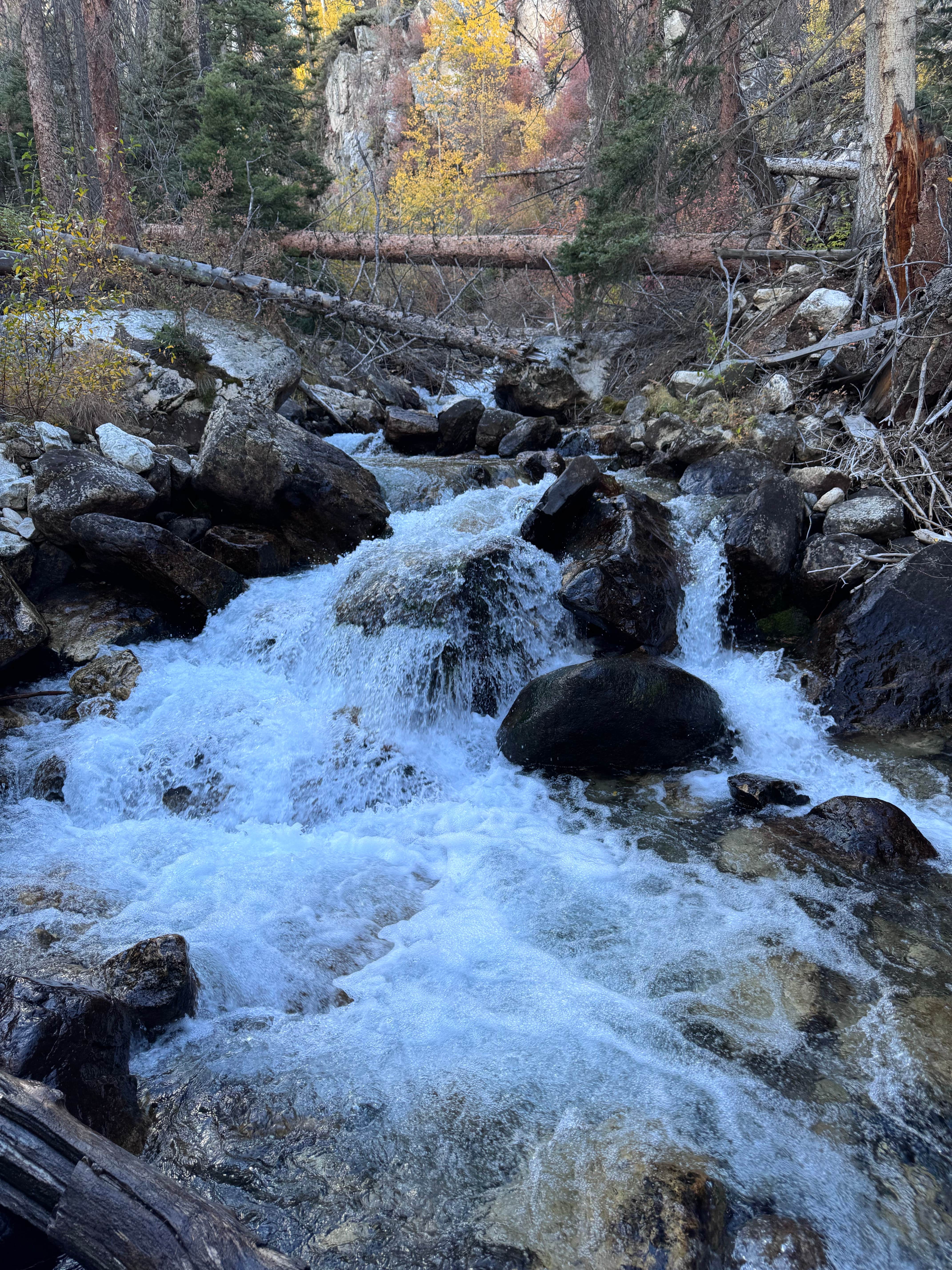 Camper submitted image from Panocha Spring - 2