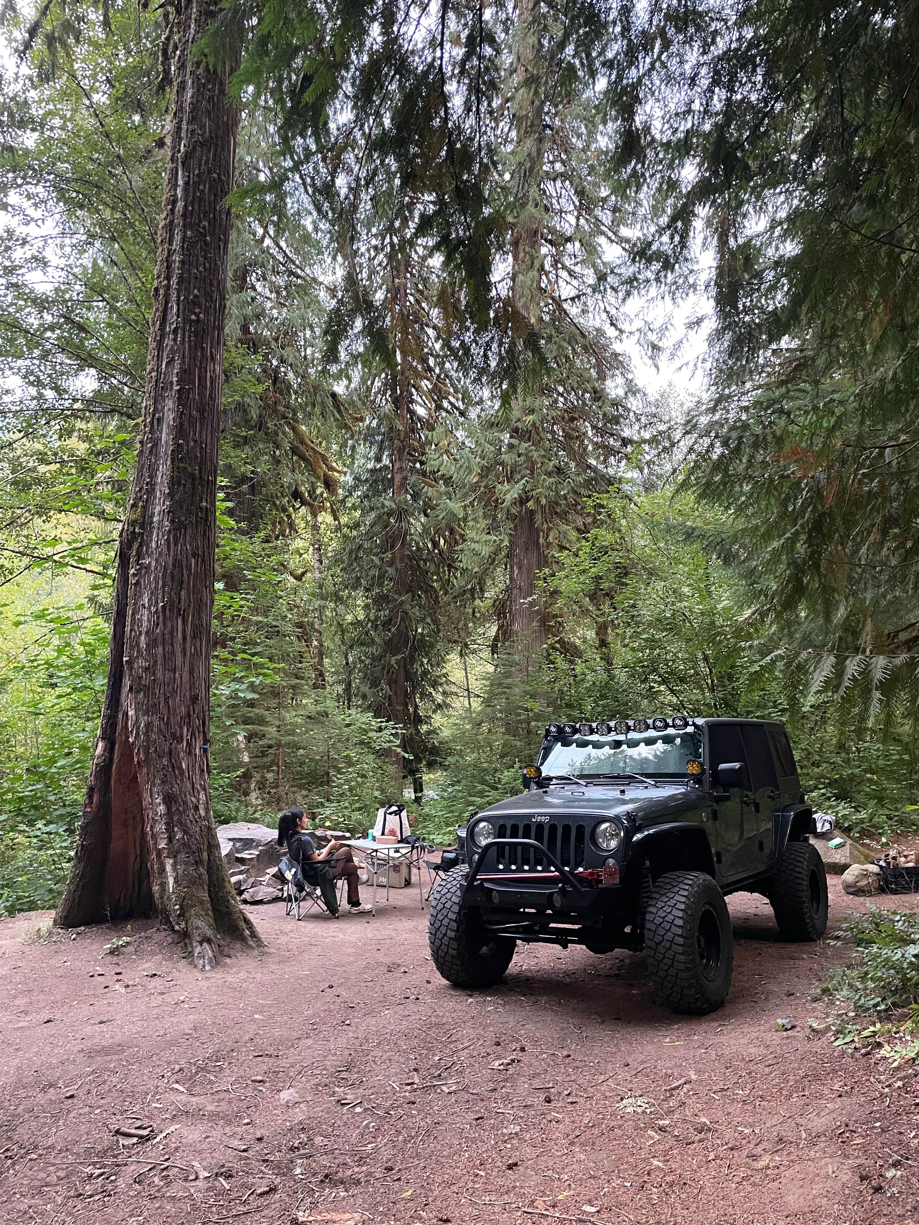 Dispersed Camping above Panther Creek Falls Carson WA