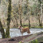 Review photo of Panther Creek Creekside Camp by Holly M., March 19, 2026