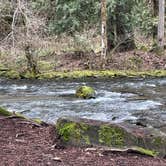 Review photo of Panther Creek Creekside Camp by Holly M., March 19, 2026