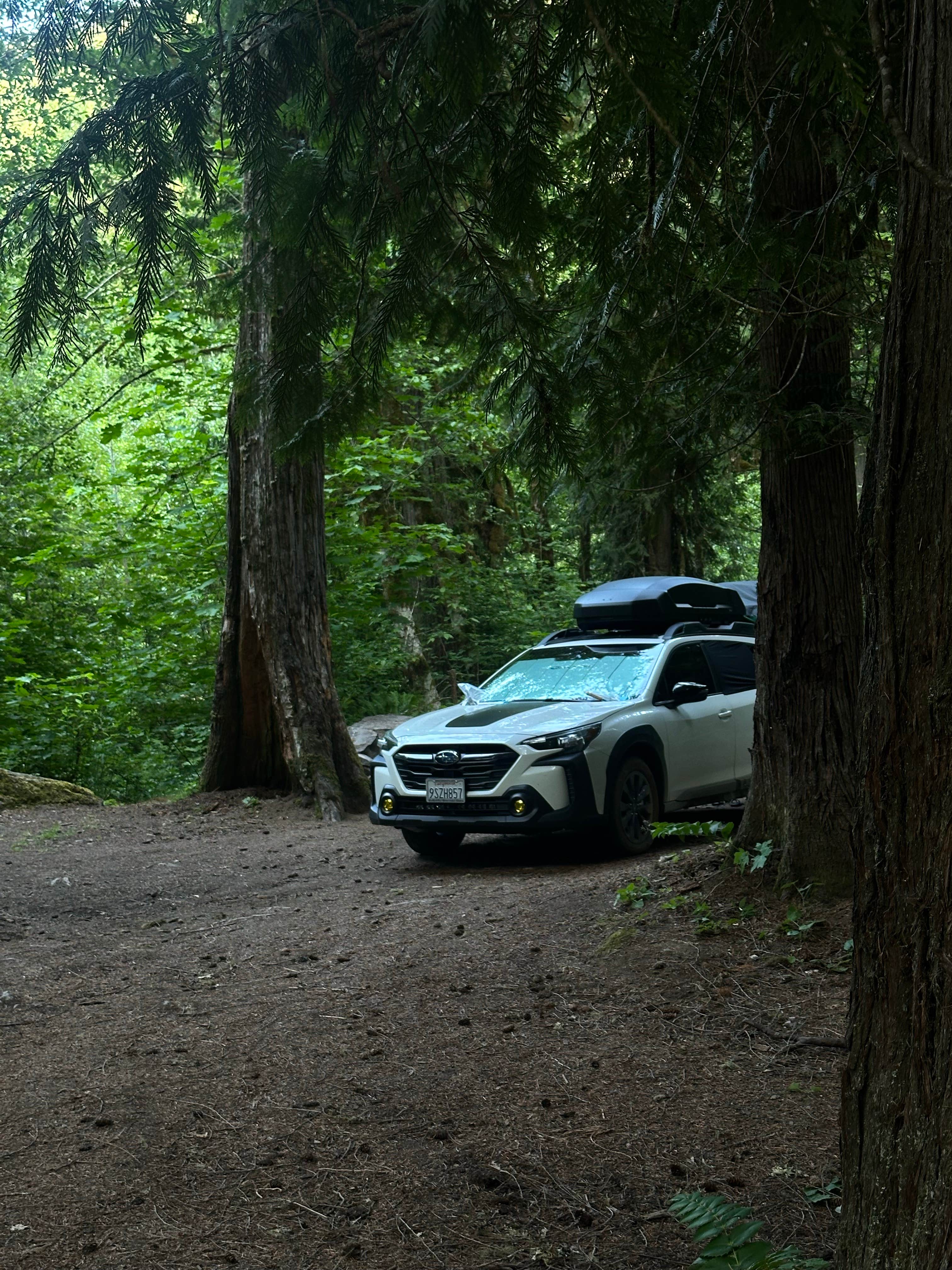 Camper-submitted photo at Panther Creek Creekside Camp near Corbett, OR