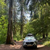 Review photo of Panther Creek Creekside Camp by Joe M., July 2, 2025