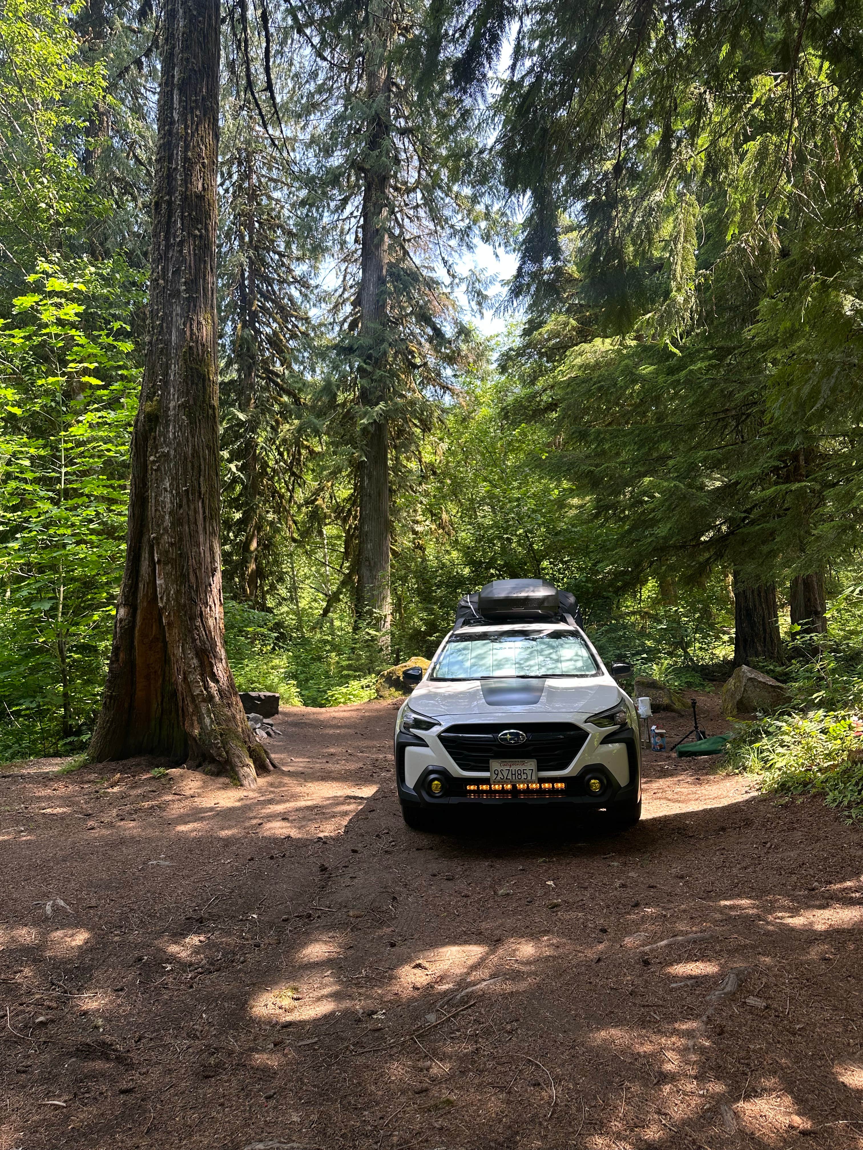 Camper submitted image from Panther Creek Creekside Camp - 1