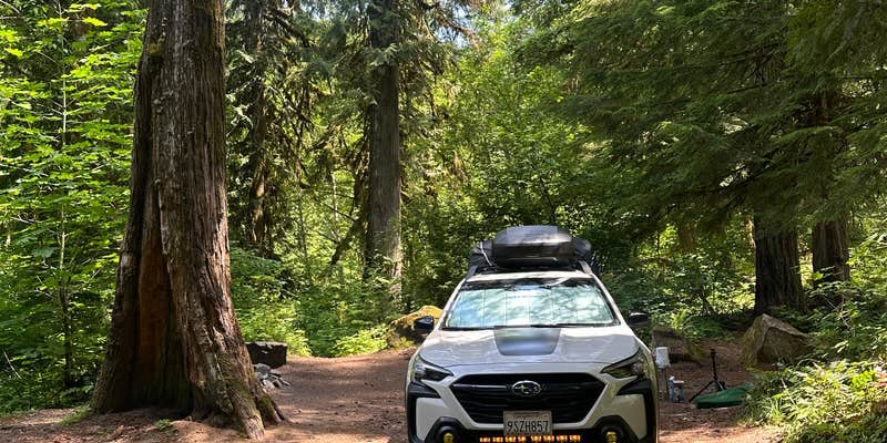 Camper submitted image from Panther Creek Creekside Camp