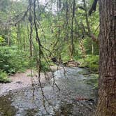 Review photo of Panther Creek Creekside Camp by Bobby J., July 18, 2024