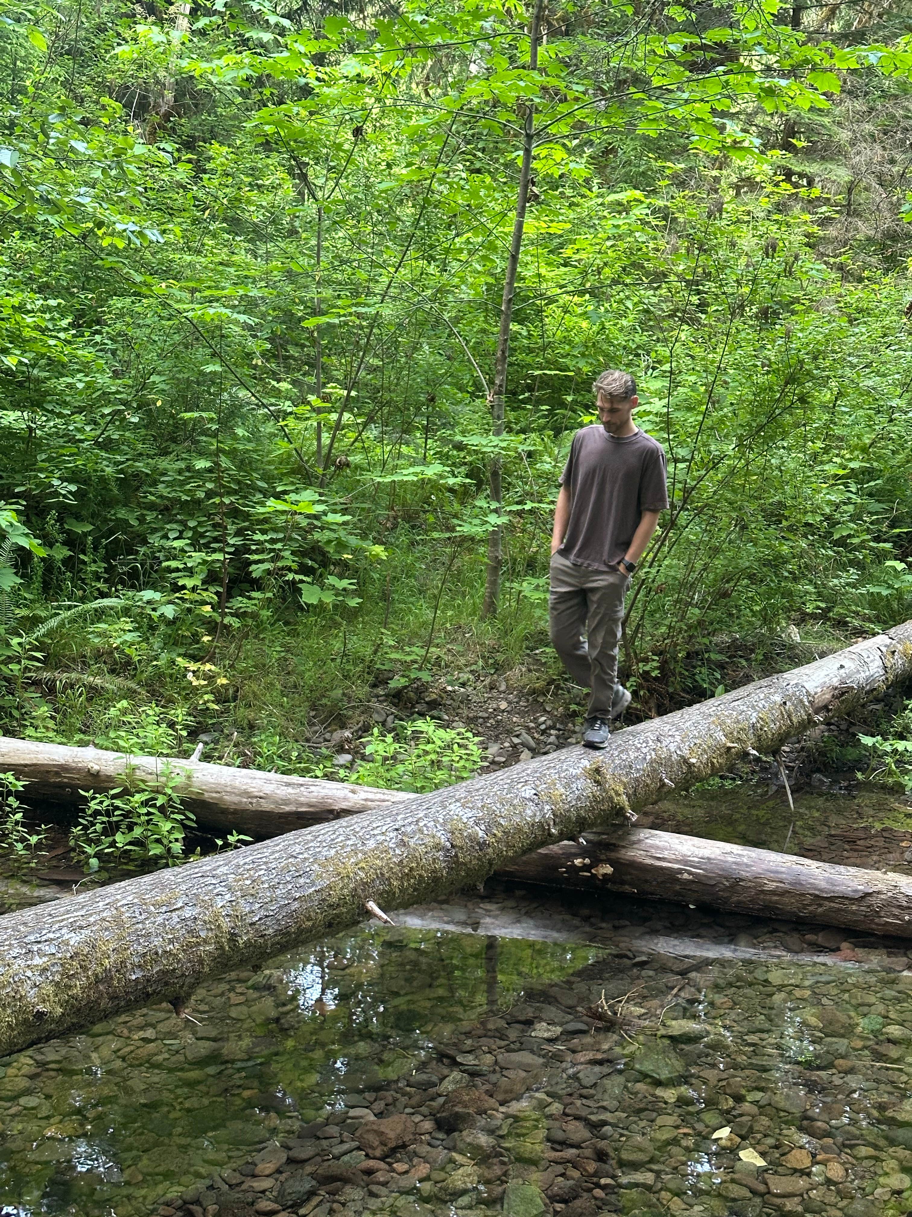 Camper-submitted photo at Panther Creek Creekside Camp near Corbett, OR