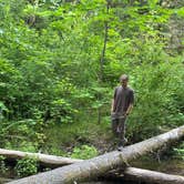 Review photo of Panther Creek Creekside Camp by Joe M., July 2, 2025