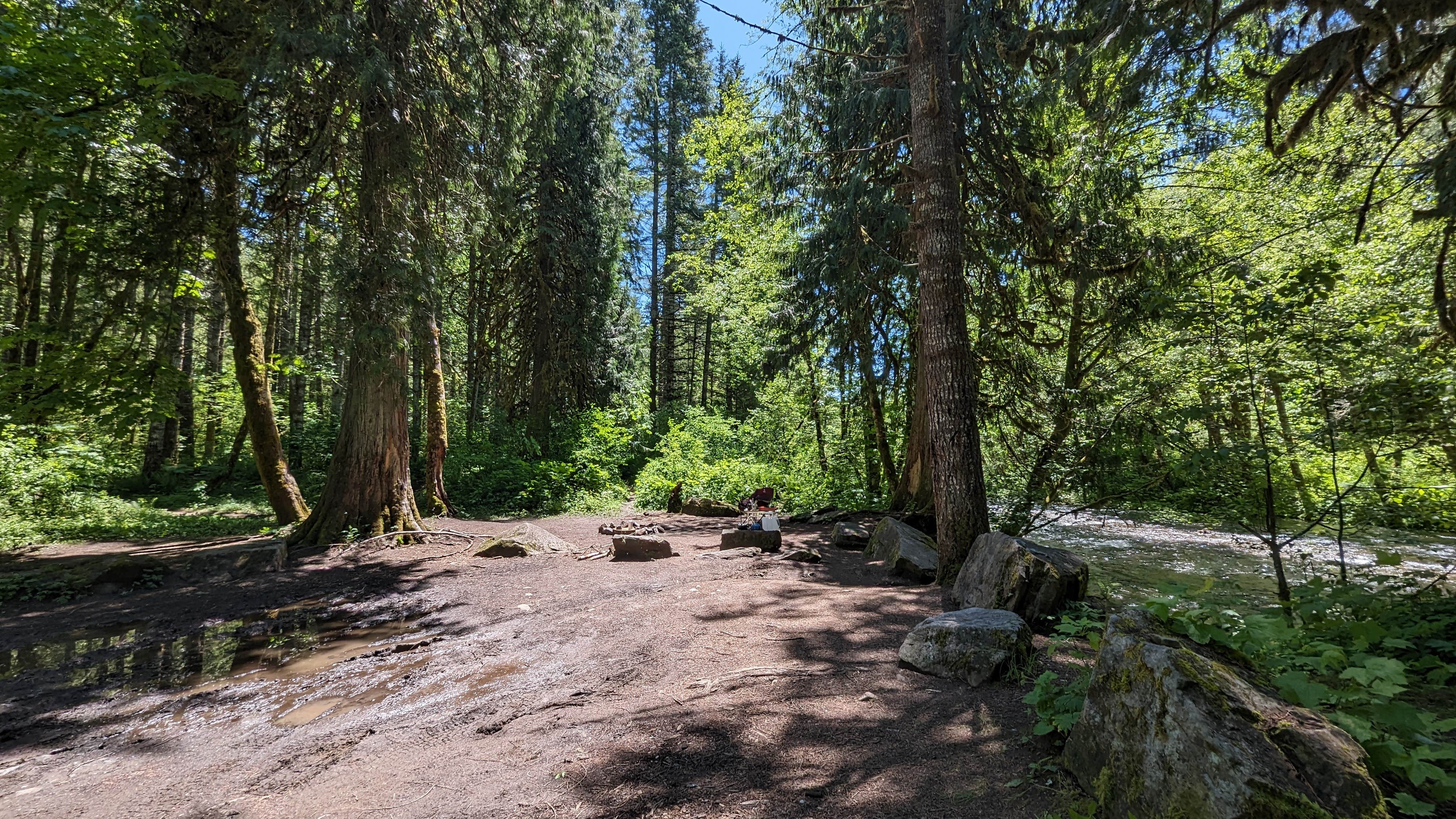 Camper submitted image from Panther Creek Creekside Camp - 4