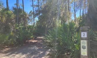 Camping near Gator Head Campground — Big Cypress National Preserve: Panther Pond, Immokalee, Florida