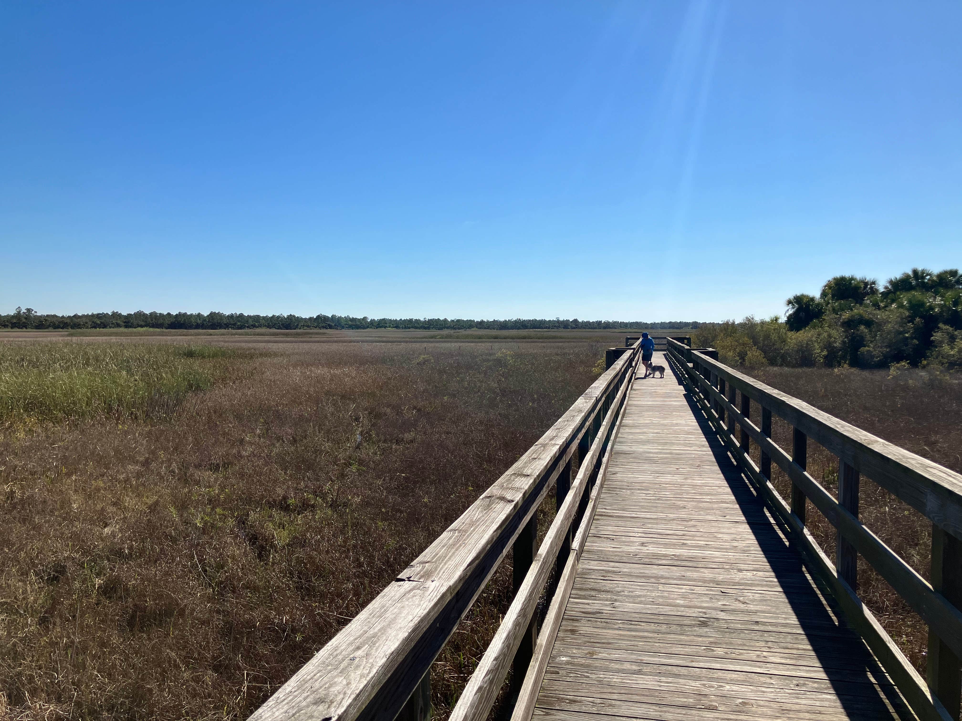 Roger W.'s photo of camping with pets at Panther Pond Primitive Campground — Okaloacoochee Slough State Forest near Big Cypress National Preserve