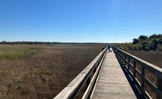 Roger W.'s photo of camping with pets at Panther Pond Primitive Campground — Okaloacoochee Slough State Forest near Fort Myers, FL