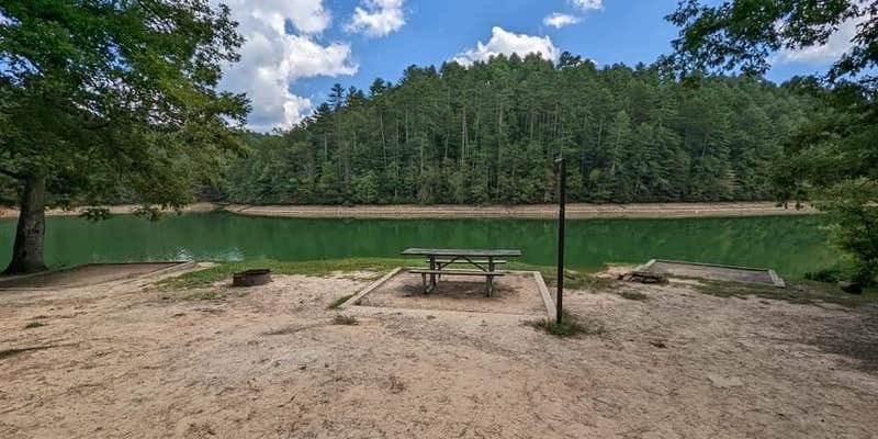 Camper submitted image from Panther Top Dispersed Site