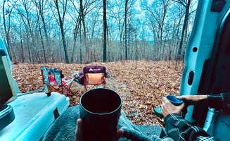 cynthia K.'s photo at Panther Top Dispersed Site near Murphy, NC