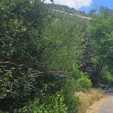 Review photo of Paonia State Park Campground by Terry K., July 21, 2026