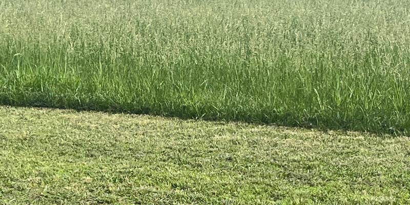 Camper submitted image from Pappy’s Riverside RV Park