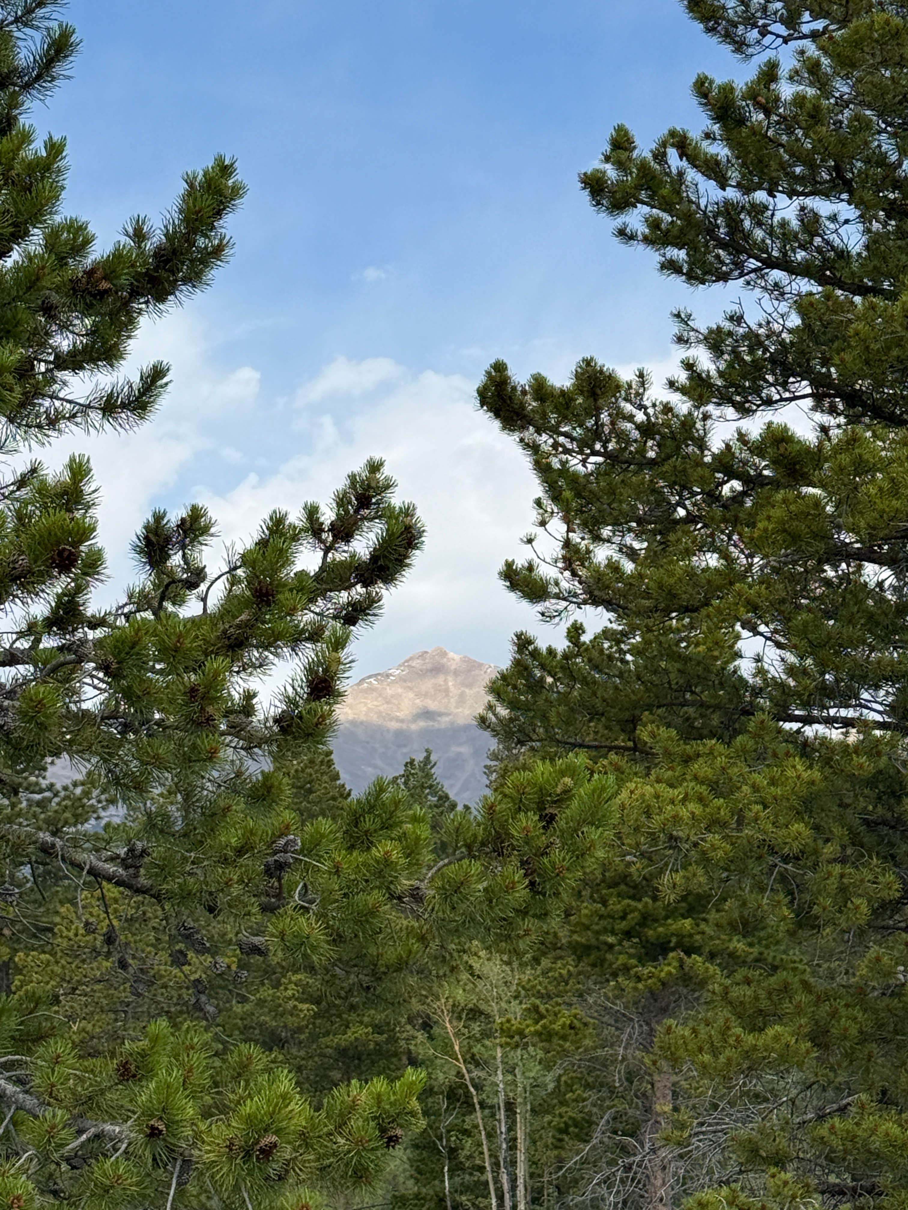 Camping near South Allenspark Dispersed Camping: Parachute Hill Road, Allenspark, Colorado
