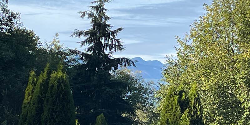 Camper submitted image from Paradise Cove RV Resort & Marina