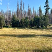 Review photo of Paradise Creek by Matt E., July 15, 2025