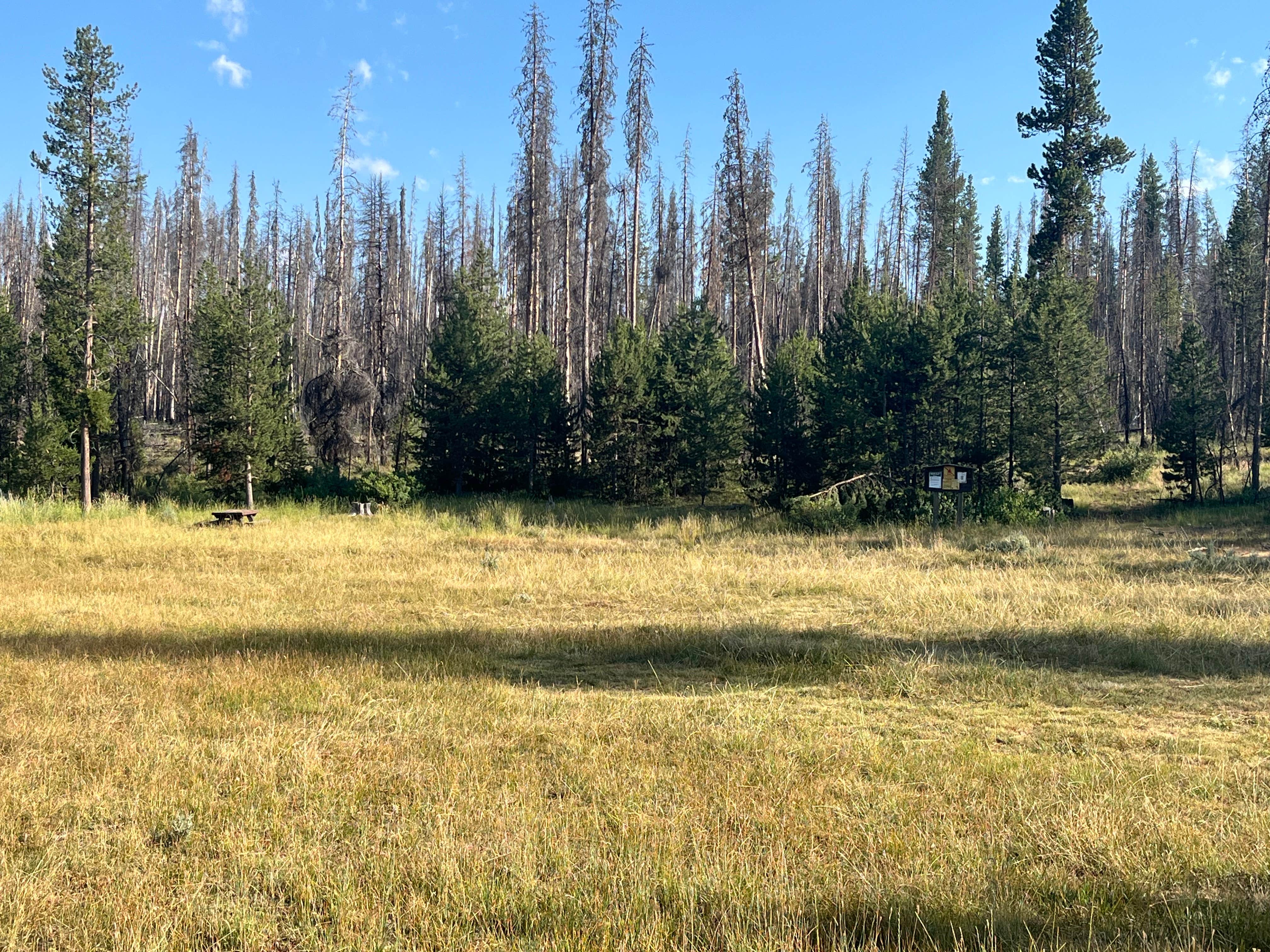 Camper submitted image from Paradise Creek - 1