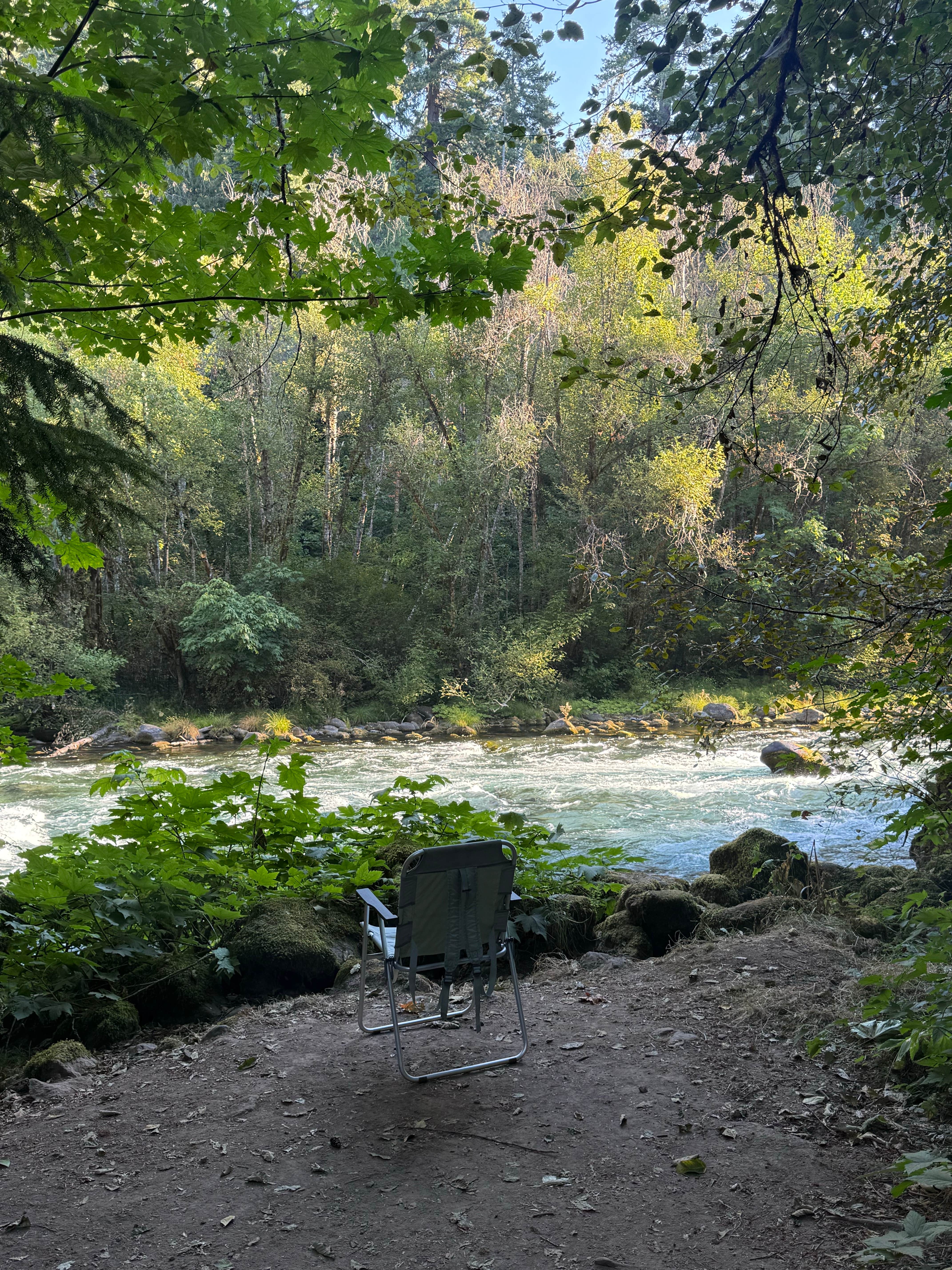 Camper-submitted photo at Paradise Creek near Fremont-Winema National Forest
