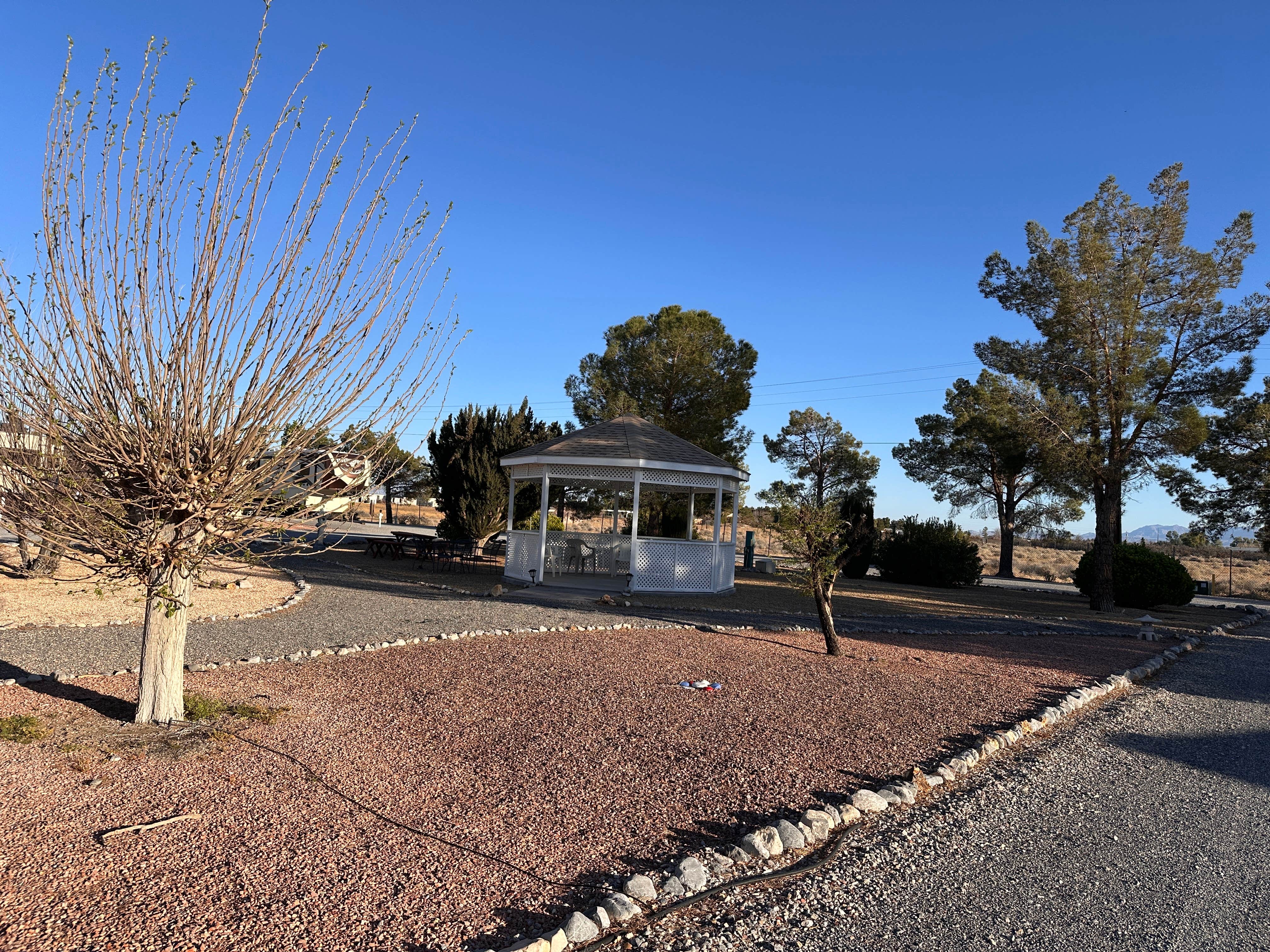 Camper-submitted photo at SKP Pair-a-Dice RV Park near Mount Charleston, NV