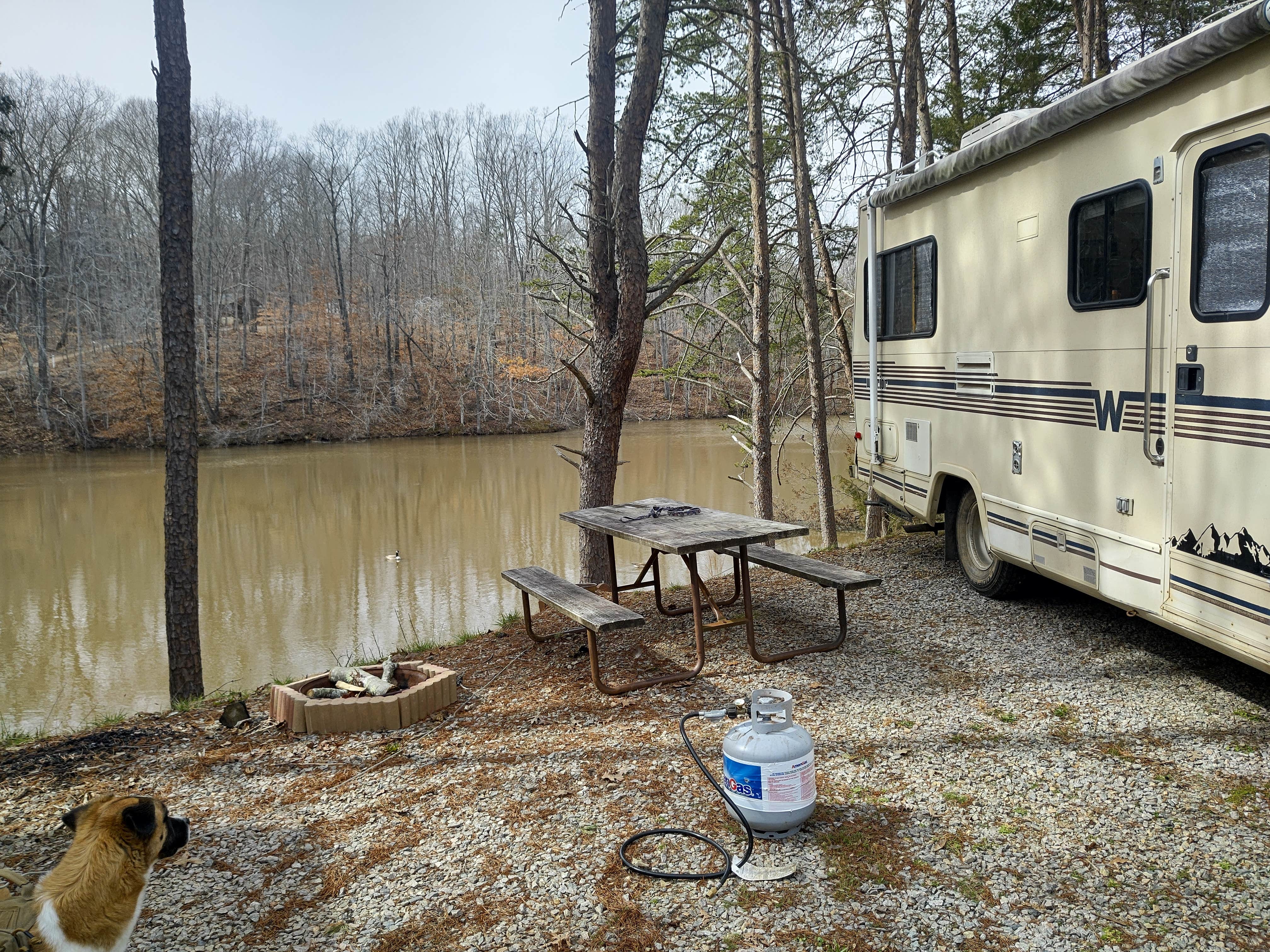 Camper-submitted photo at Paradise Lake & Campground near Eden, NC