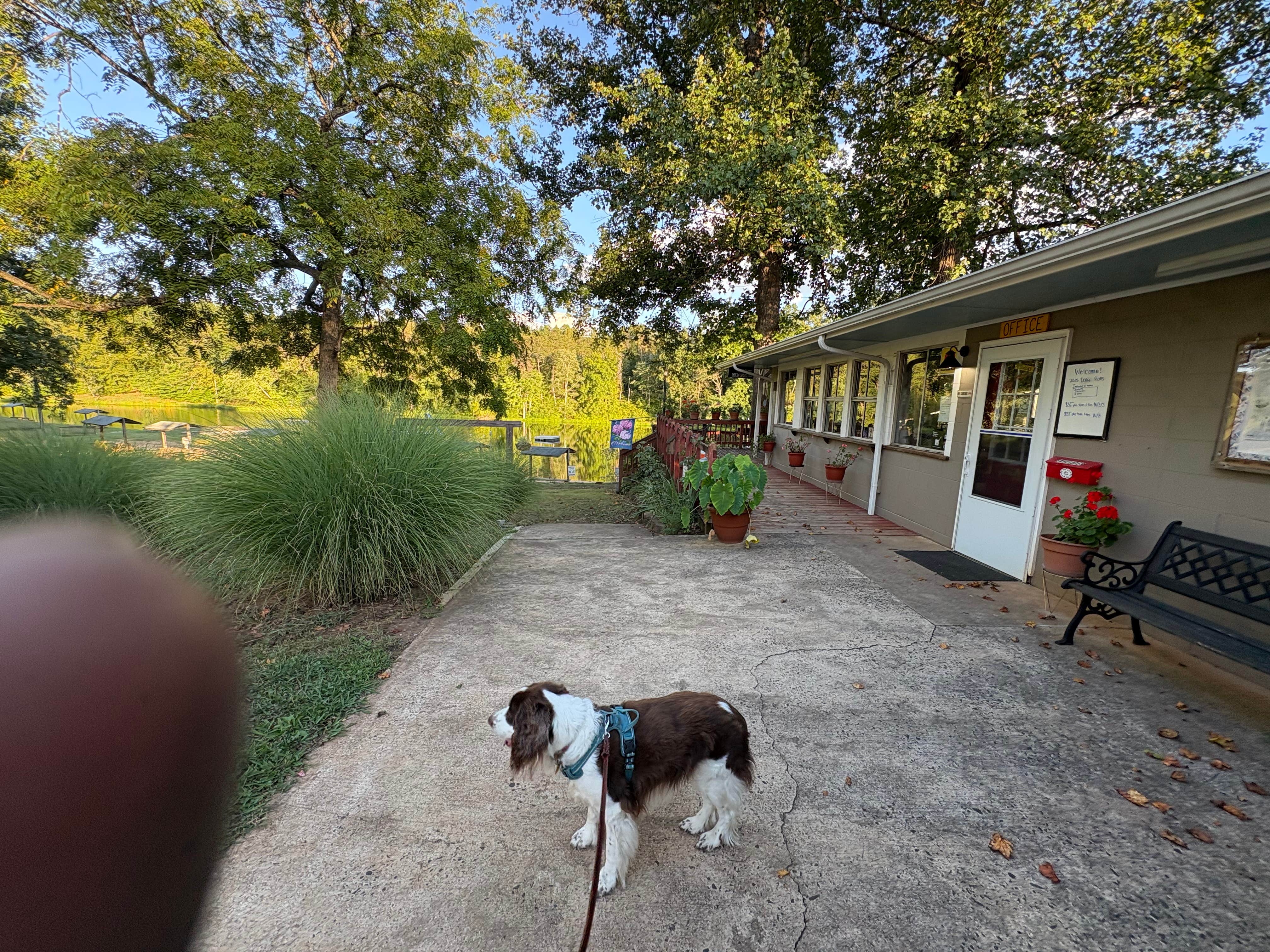 Joel R.'s photo of camping with pets at Paradise Lake Family Campground near Farmville, VA