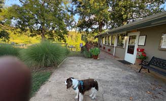 Joel R.'s photo of camping with pets at Paradise Lake Family Campground near Big Island, VA