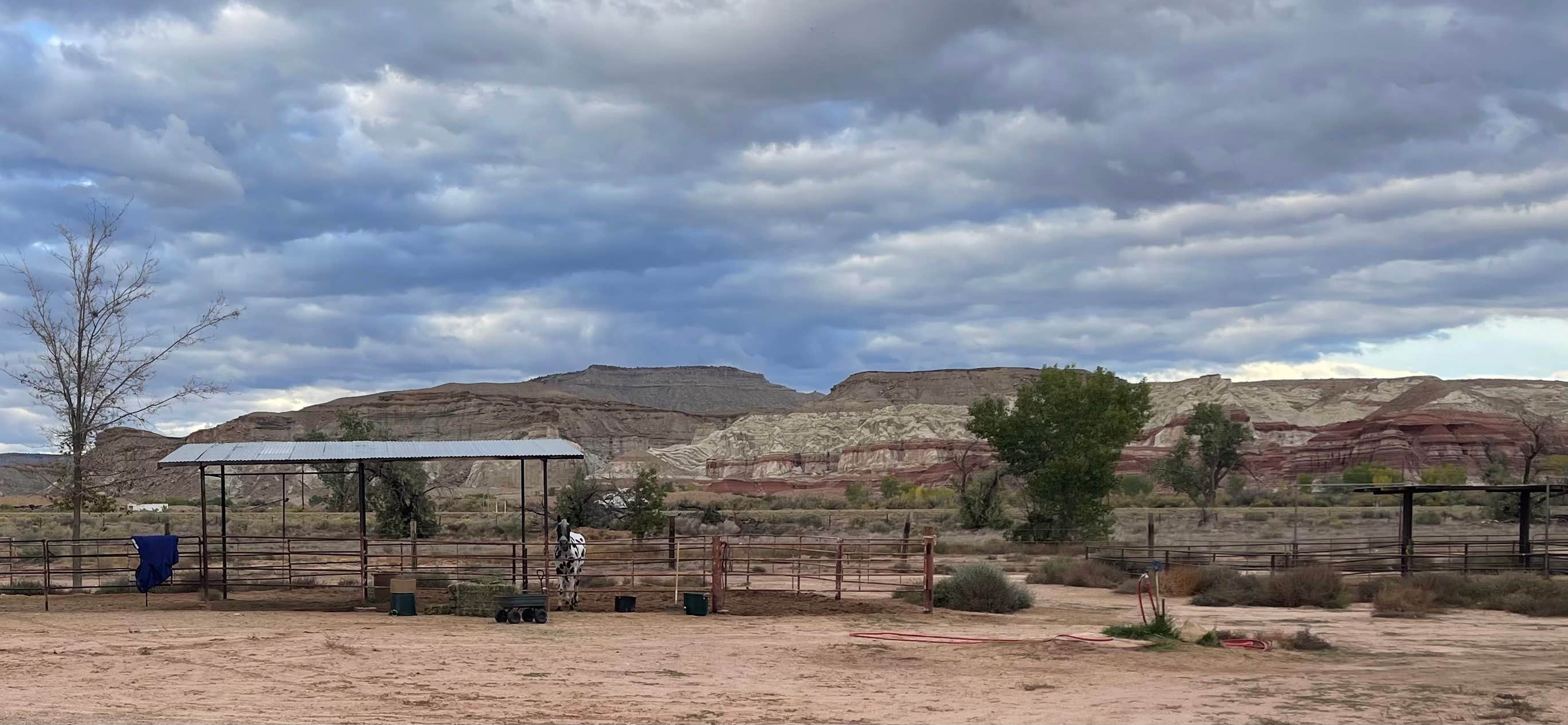cindy's photo of camping with a horse at Paria River Ranch near Jacob Lake, AZ