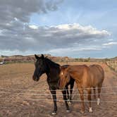 Review photo of Paria River Ranch by Justin F., April 13, 2026