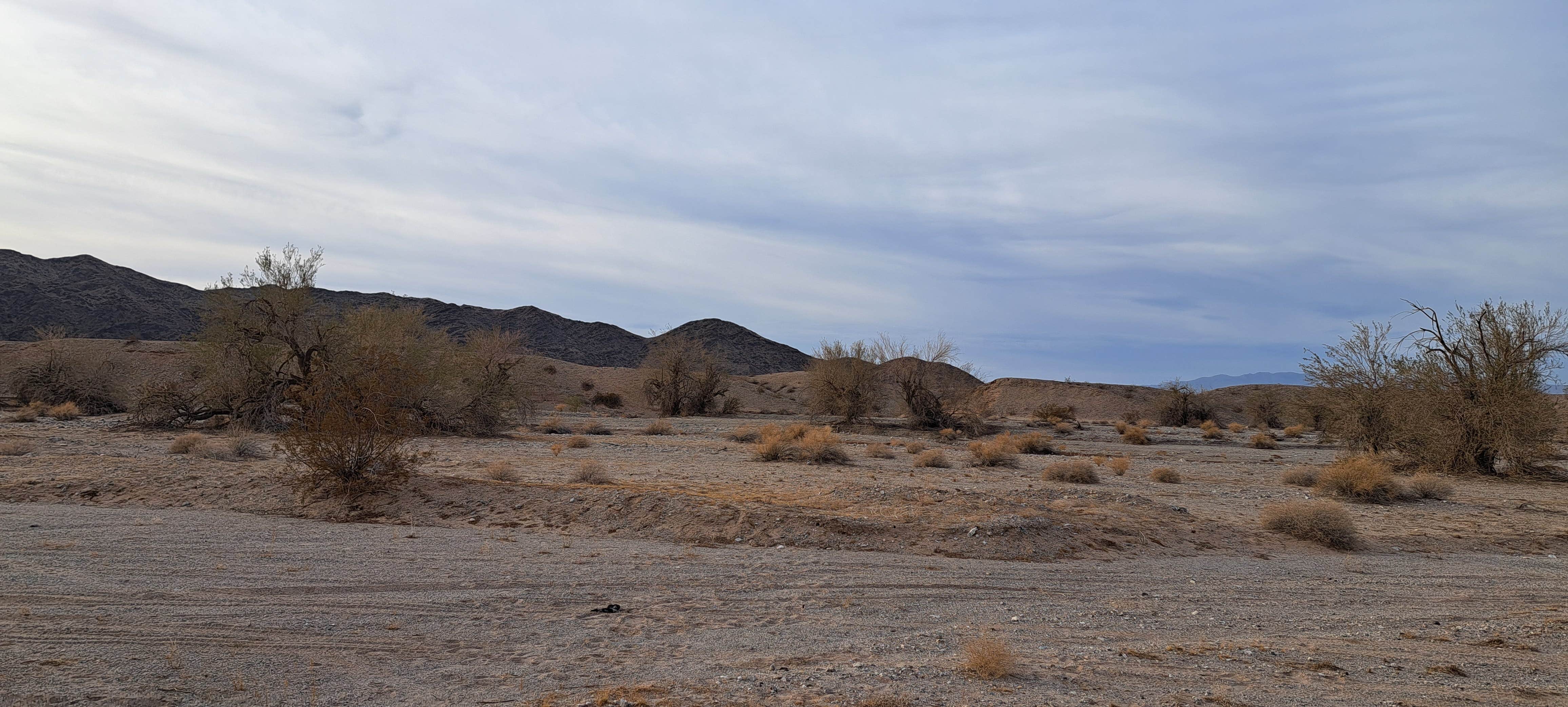 Camping near Bouse Community Park: Parker Pit Road Dispersed, Parker, Arizona