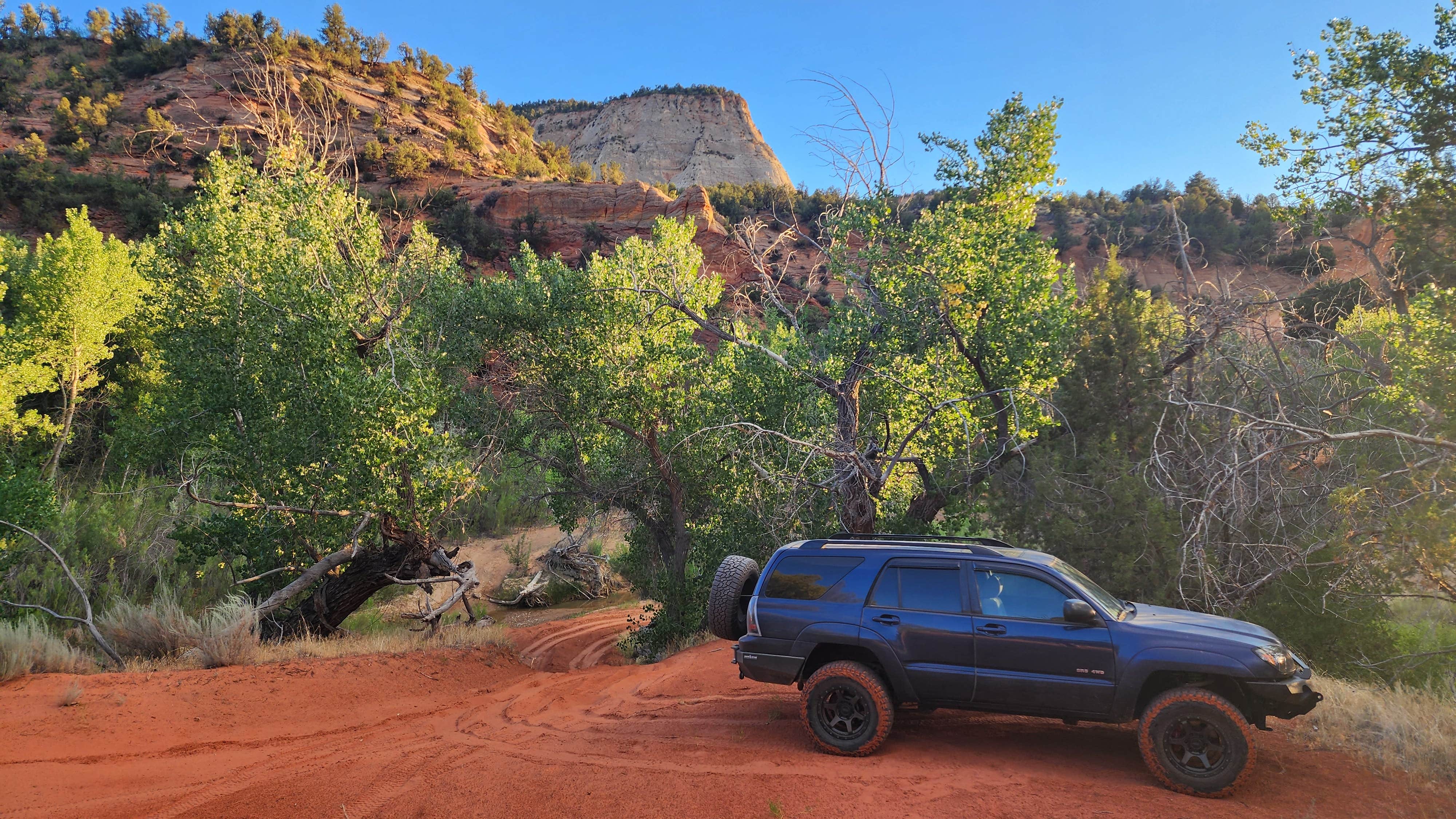Camper submitted image from Parunuweap Canyon - 3